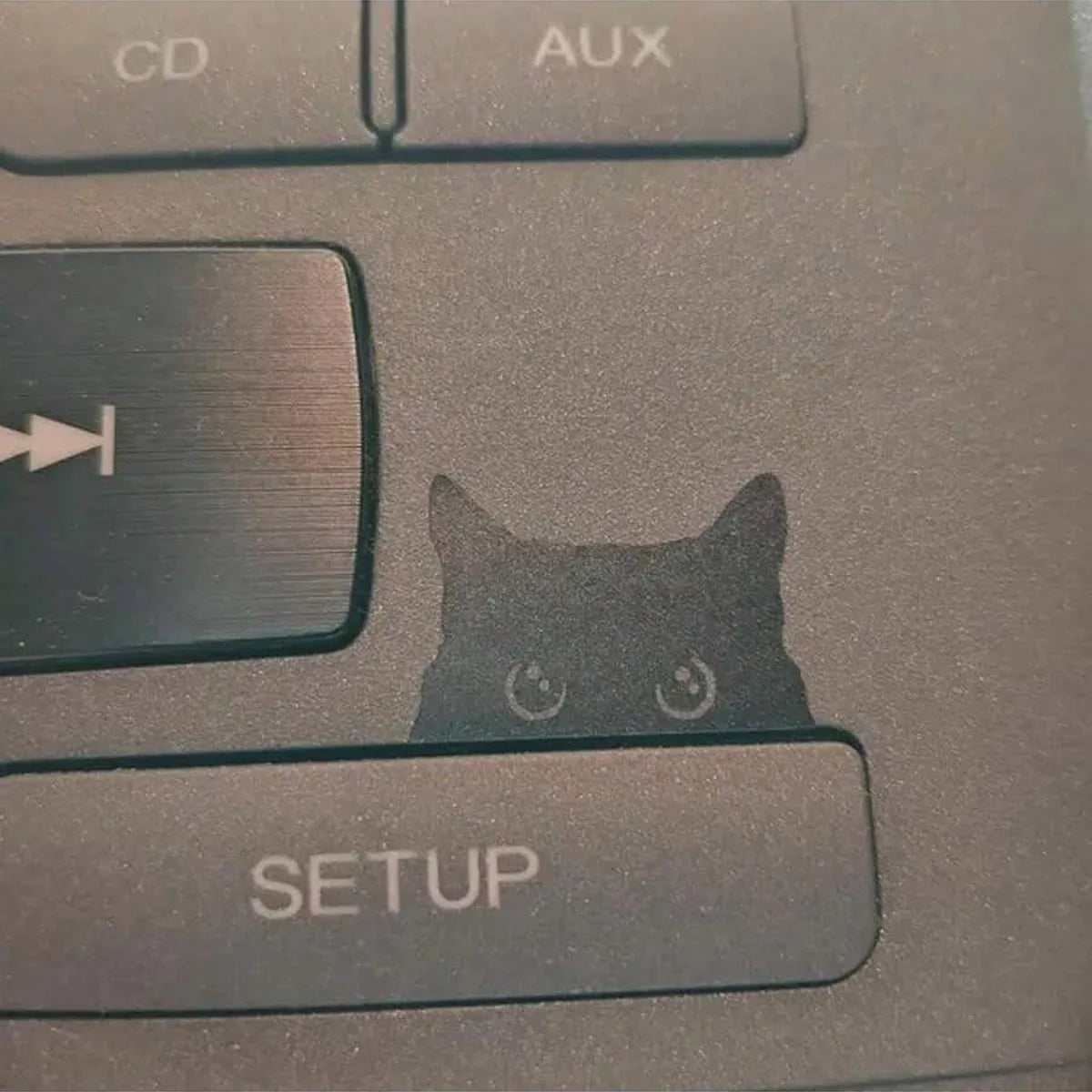 Cat Peeker Decal Car Decal Black Cat Peeker Sticker Blank Bu